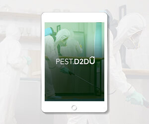 D2DU Pest